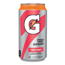 Gatorade Can Fruit Punch